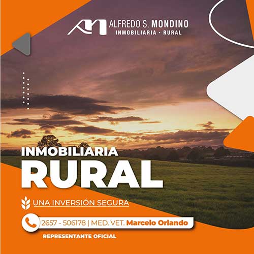 Inmobiliaria
