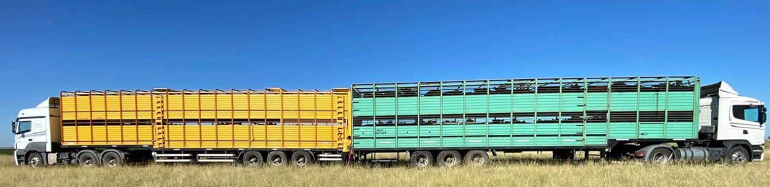 Transporte y Logística