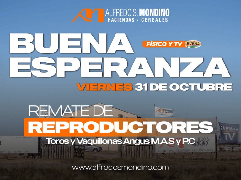 Remate Buena Esperanza
