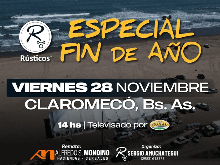 Remate Especial Fin de Año