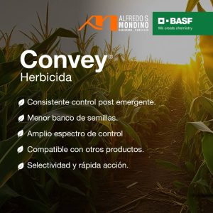 cereales_carousel_01