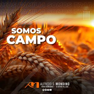 cereales_carousel_03