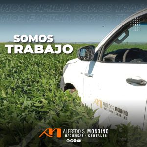 cereales_carousel_04