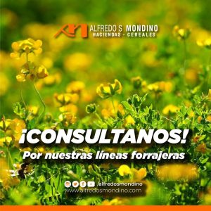 cereales_carousel_06